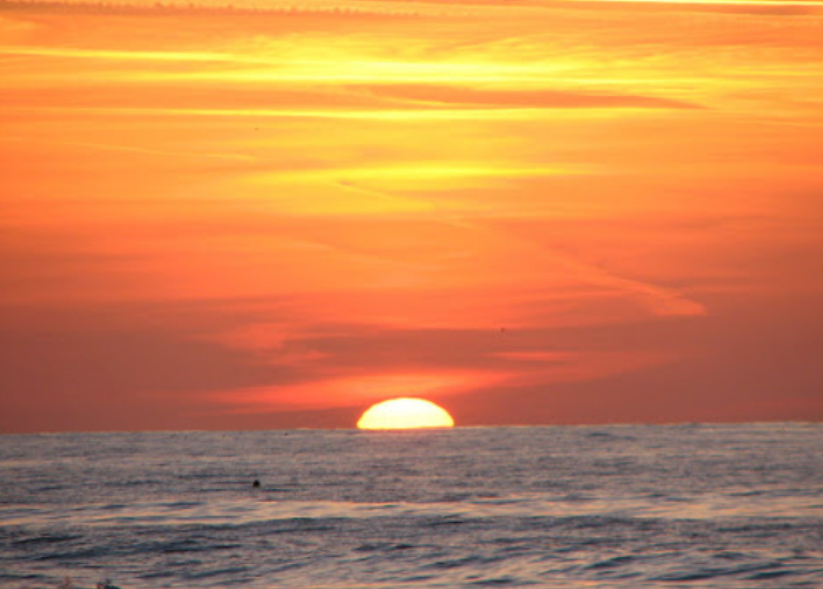 Guests taking photos of dolphins during a sunset cruise in Clearwater