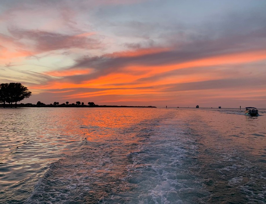 Best Dolphin Tour in Clearwater Beach | Fins Up Clearwater