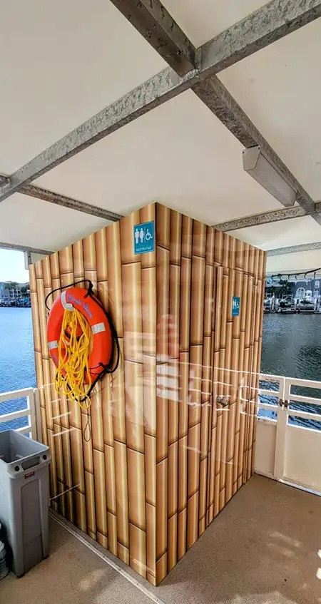 Best Dolphin Tour in Clearwater Beach | Fins Up Clearwater